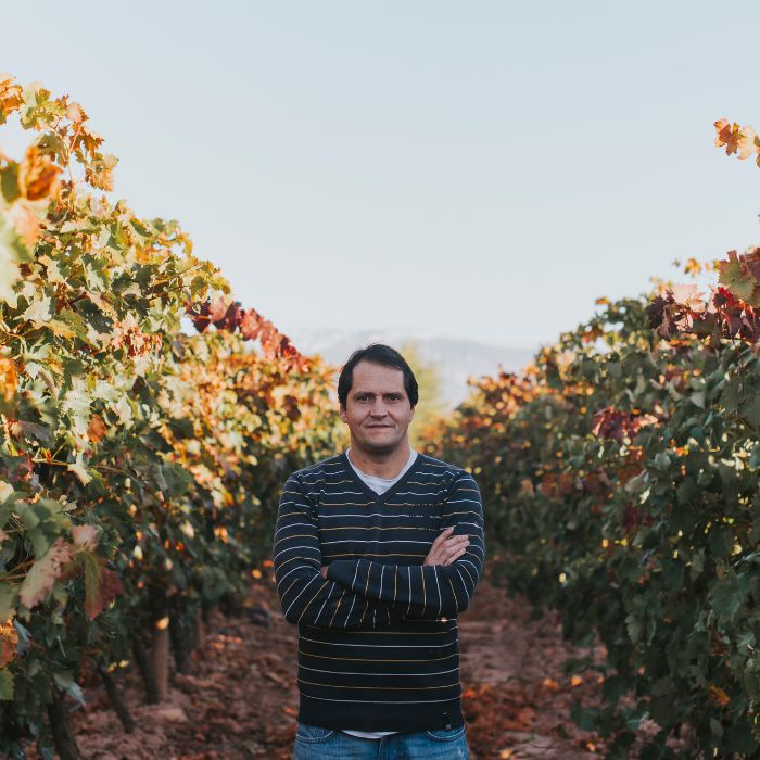 Bodegas Altanza