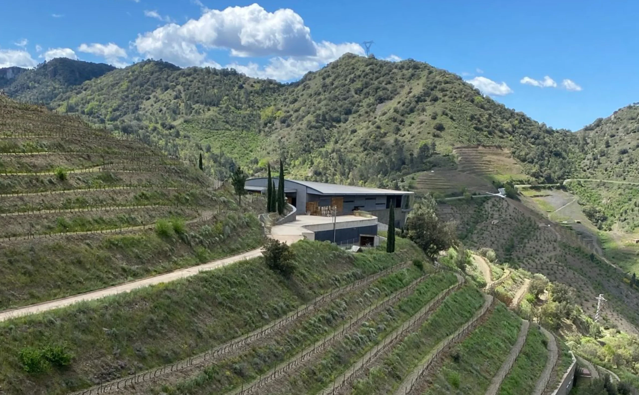 Bodegas Ferrer Bobet