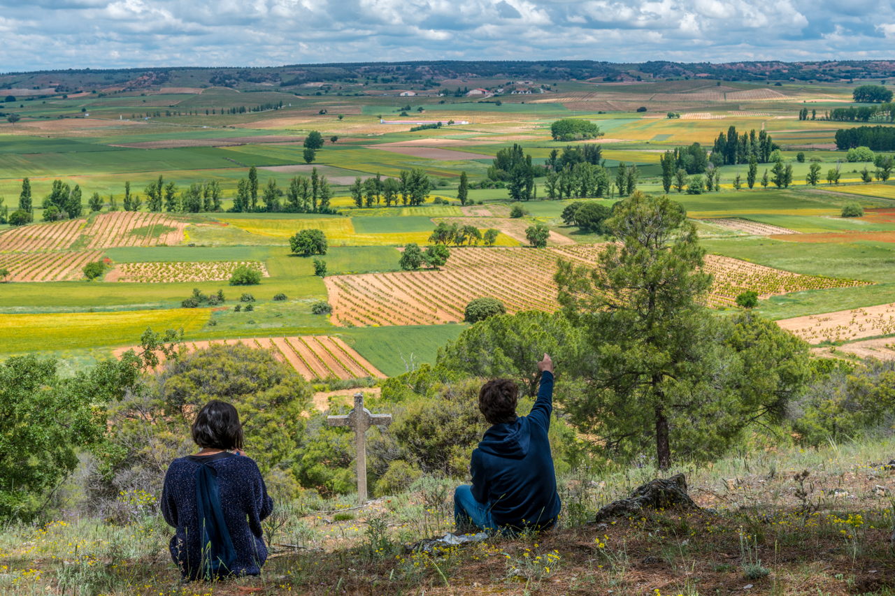 Bodegas Dominio del Aguila
