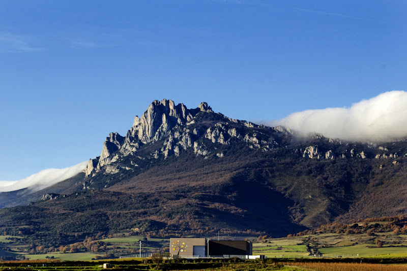 Altos de Rioja