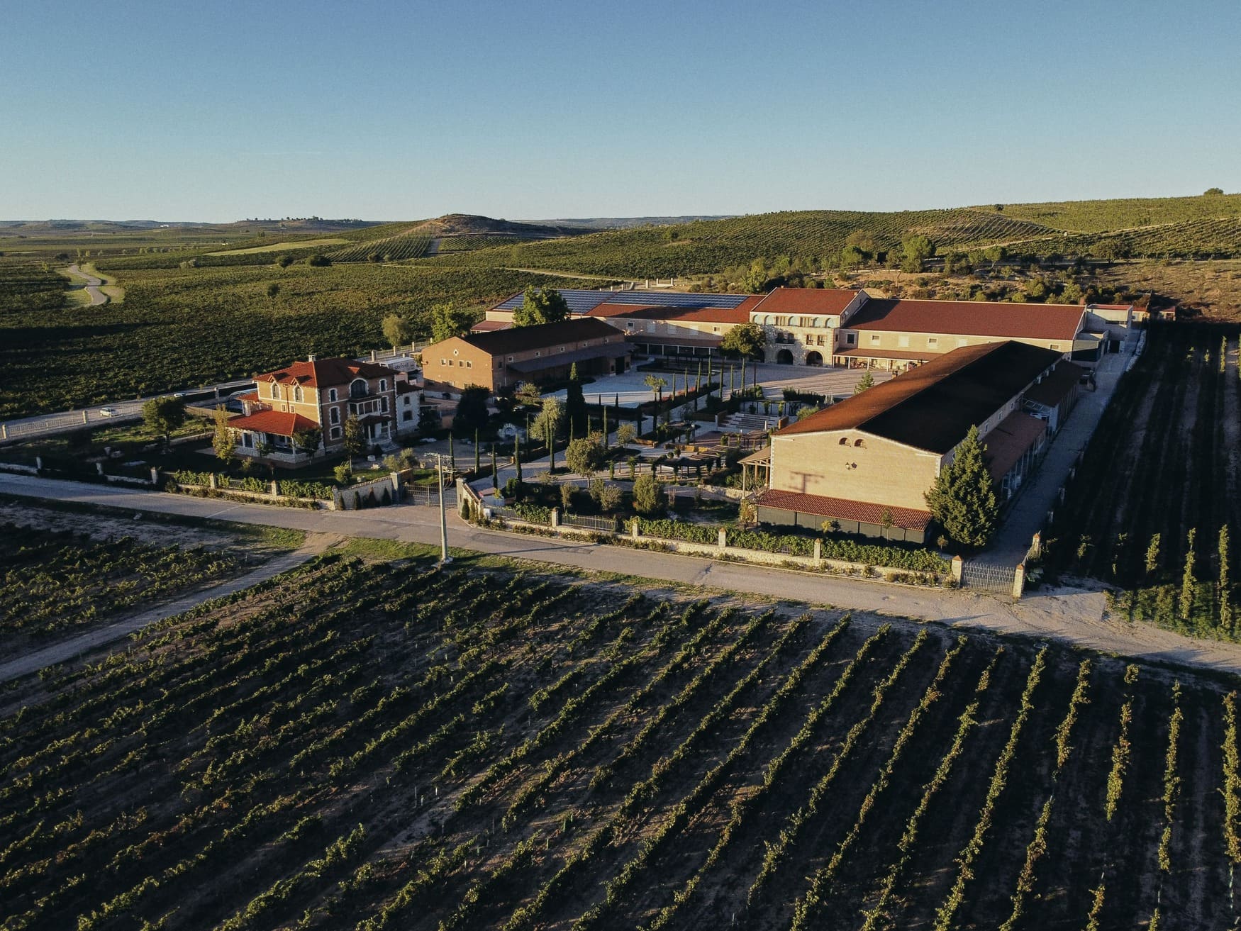 Bodega de Familia Fernandez Rivera