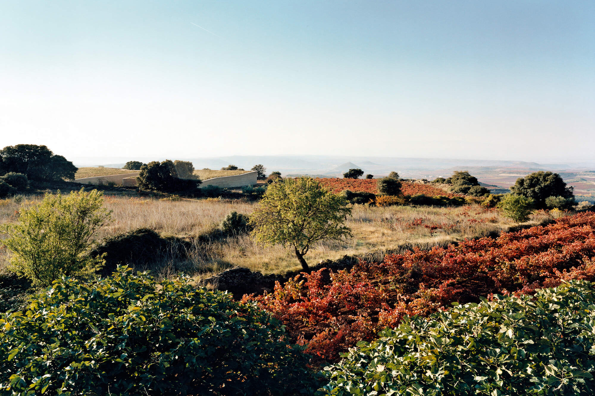 Bodega Lanzaga