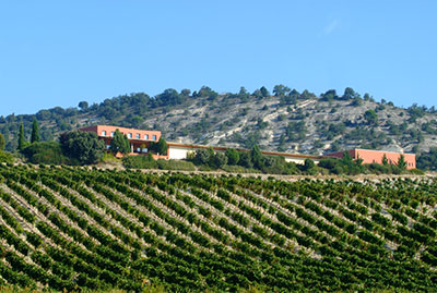 Bodega Monastasia Duero