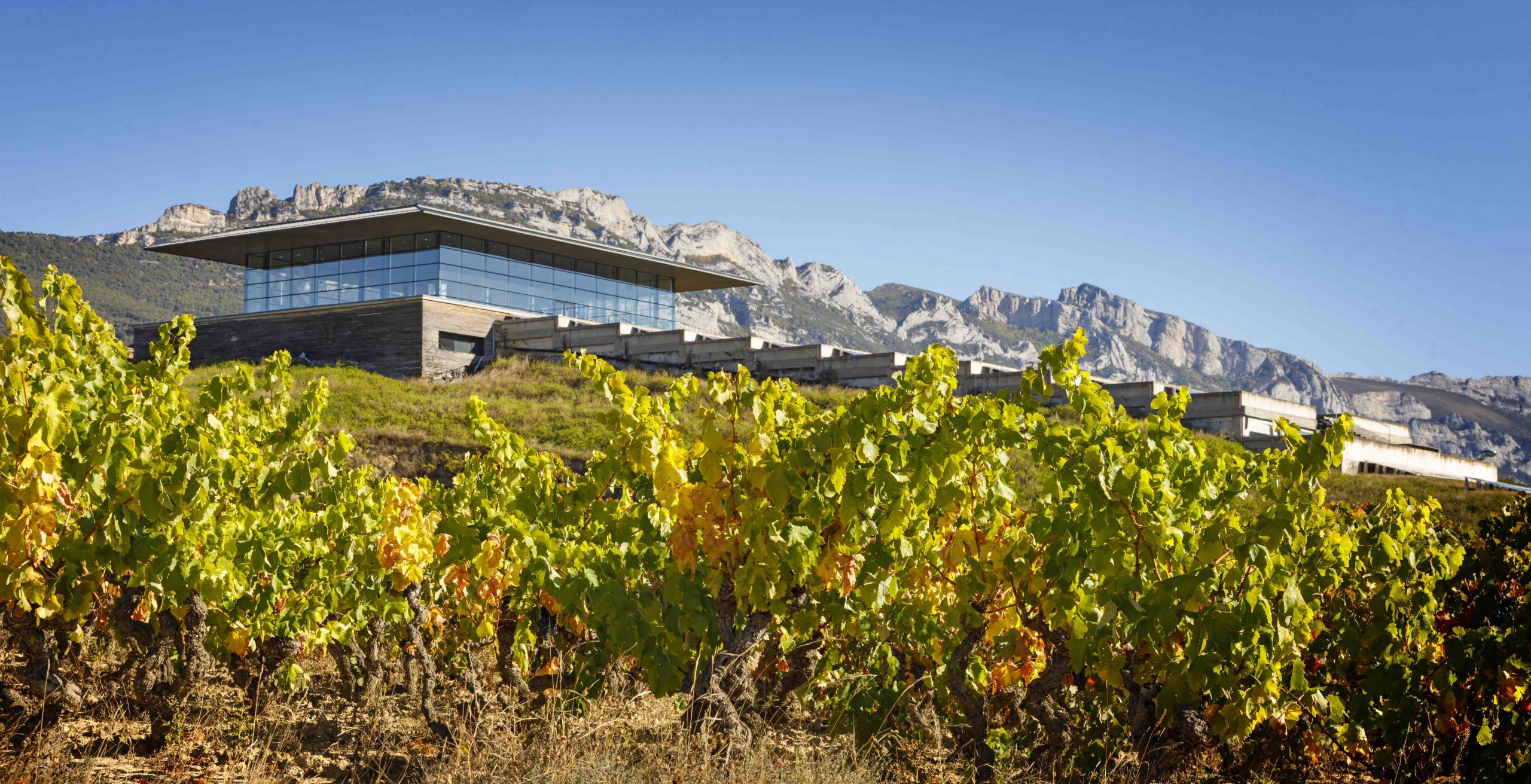 Bodegas Baigorri