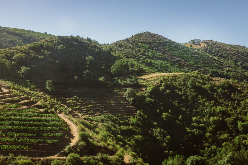 Bodegas Dominio do Bibei