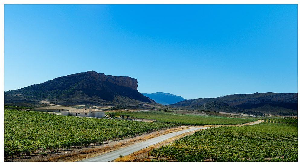 Bodegas El Nido