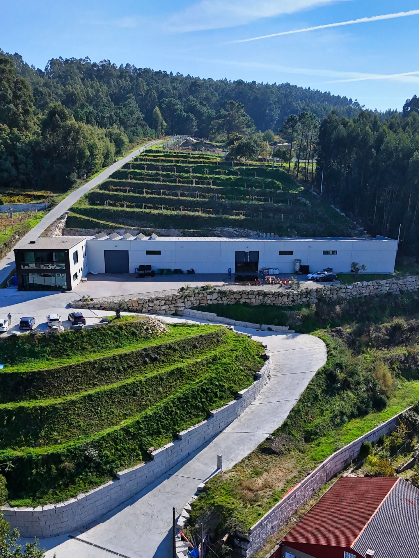 Bodegas Forjas del Salnes