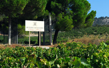 Bodegas Hacienda Monasterio