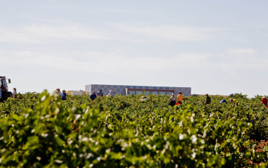 Bodegas Mano a Mano