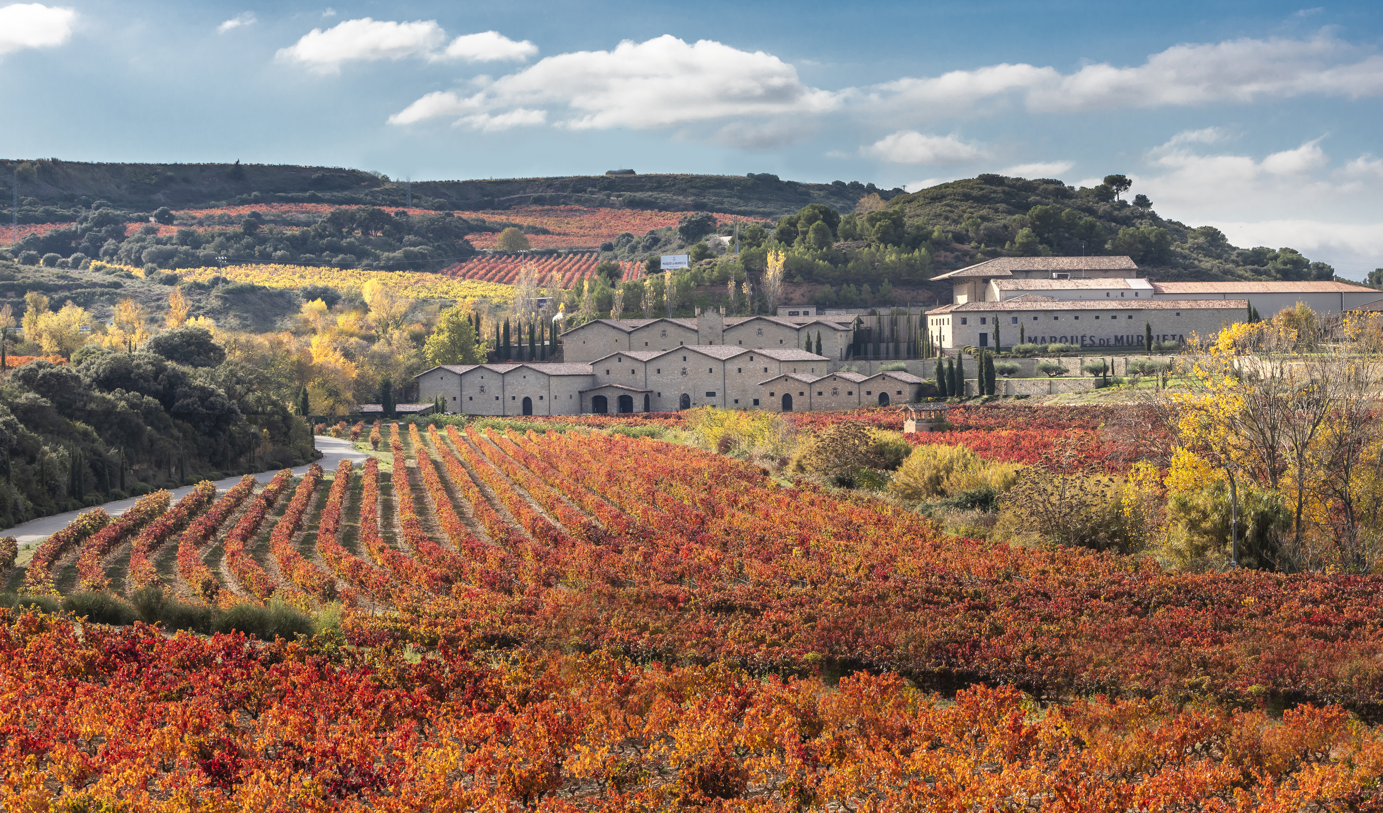 Bodegas Marques de Murrieta