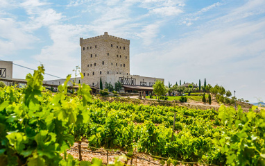 Bodegas Pago de Cirsus