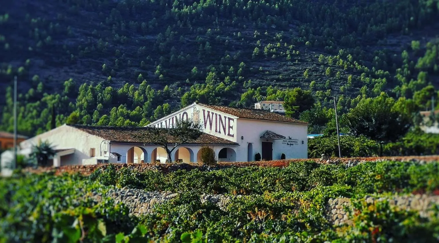 Bodegas pepe mendoza