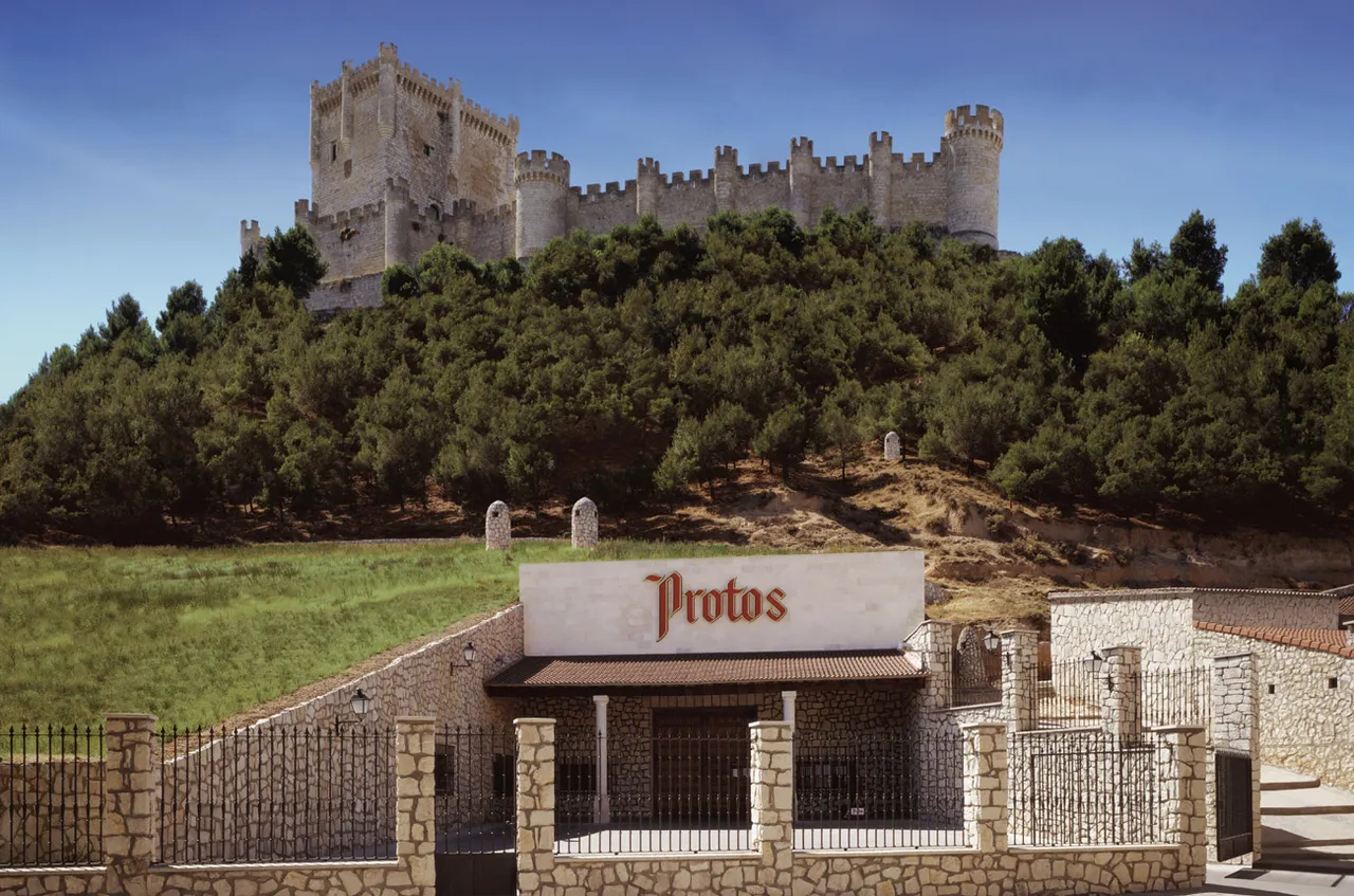 bodegas Protos