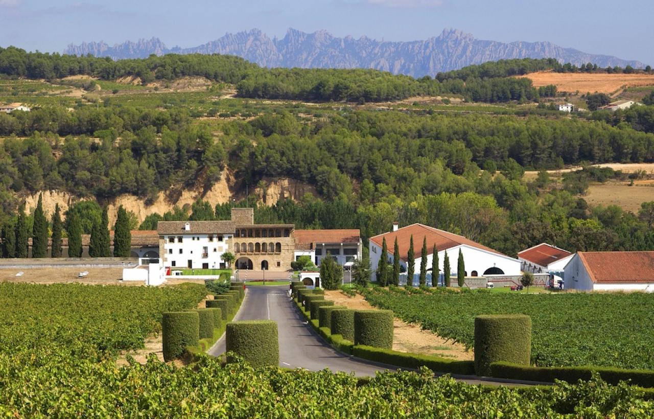 Bodegas Segura Viudas
