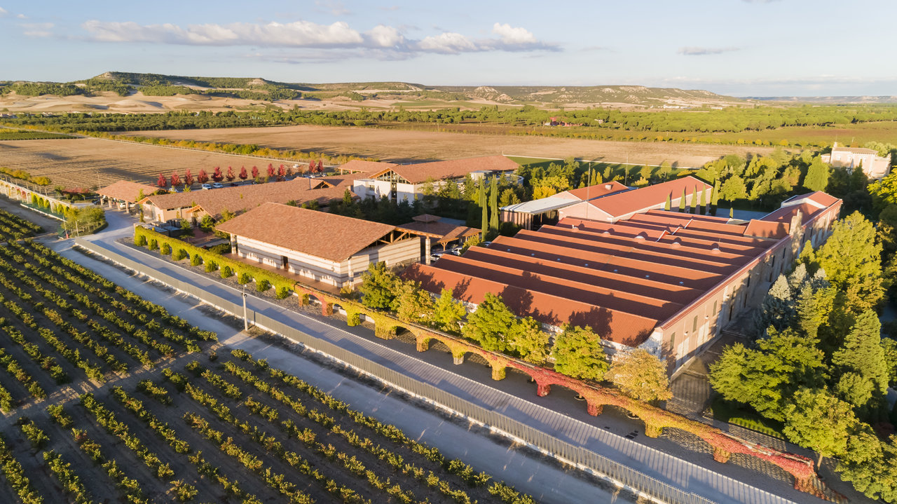Bodegas Vega Sicilia