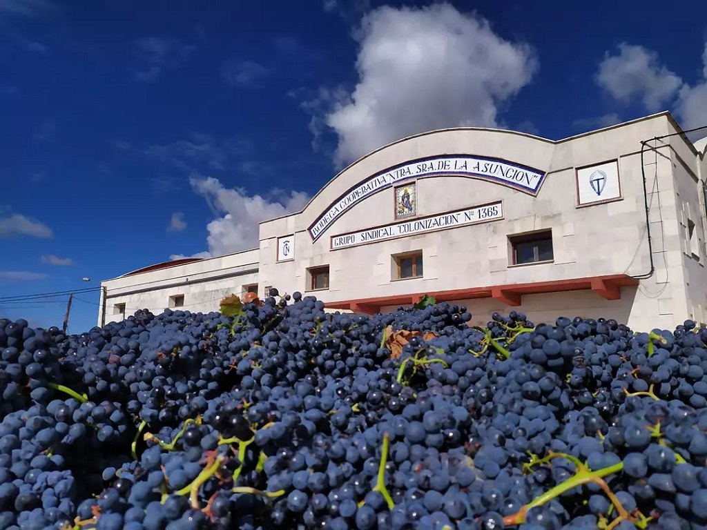 Bodegas Virgen de la Asuncion