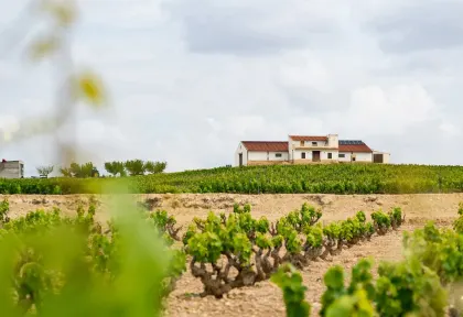 Bodegas Monastasia Rioja