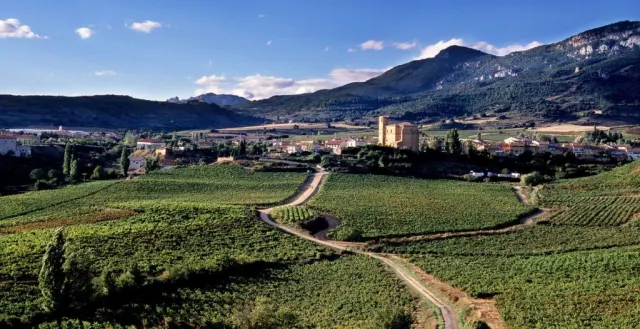 Bodegas Remirez de Ganuza