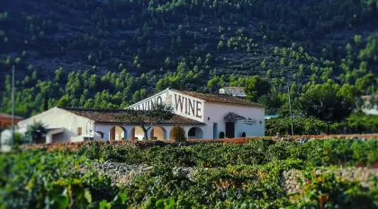 Bodegas pepe mendoza