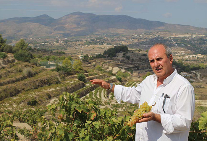 Bodega Bocopa