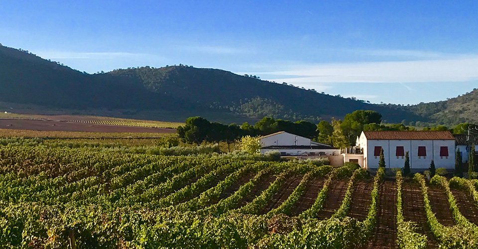 Bodegas Casa Castillo