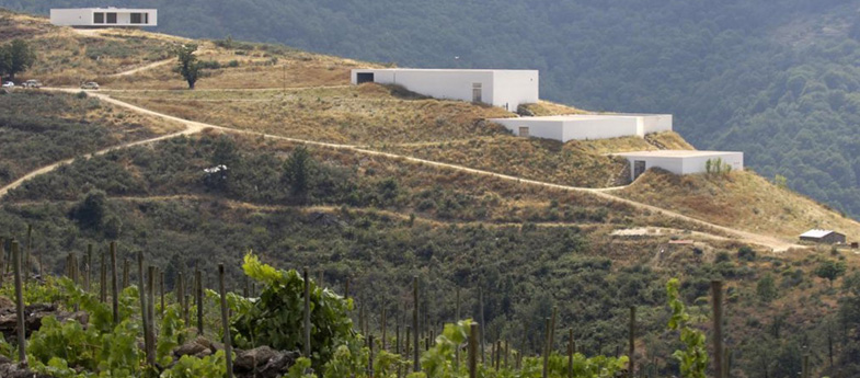 Bodegas Dominio do Bibei
