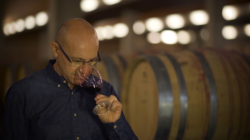 Bodegas Enate