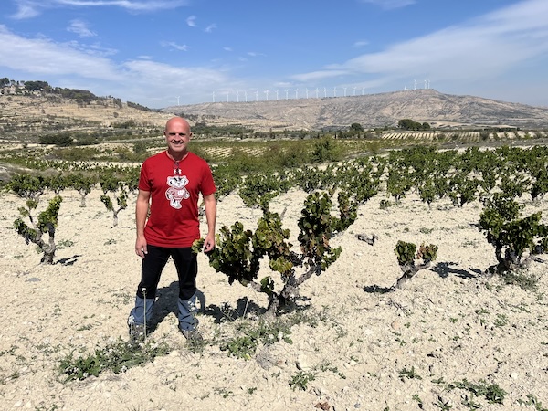 Bodegas Morca