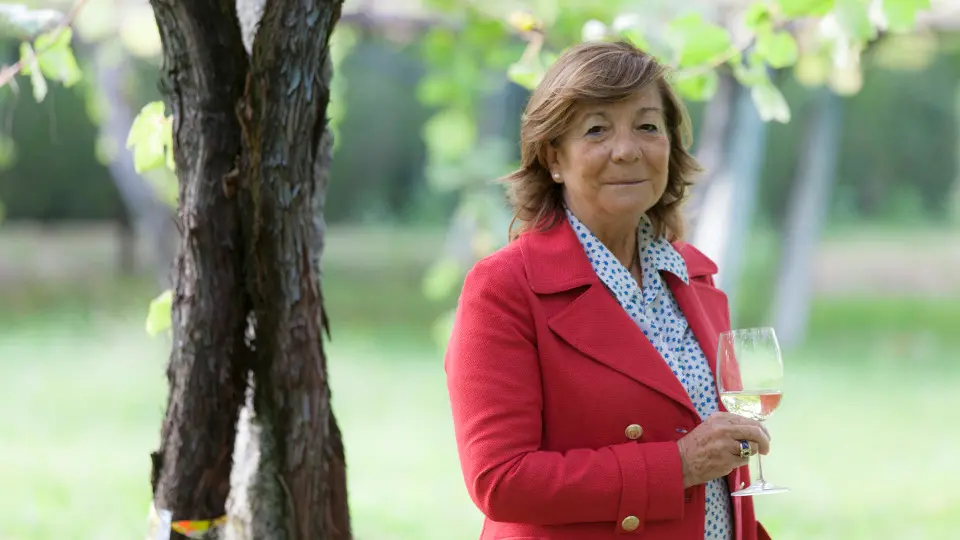 Bodegas Pazo Senorans