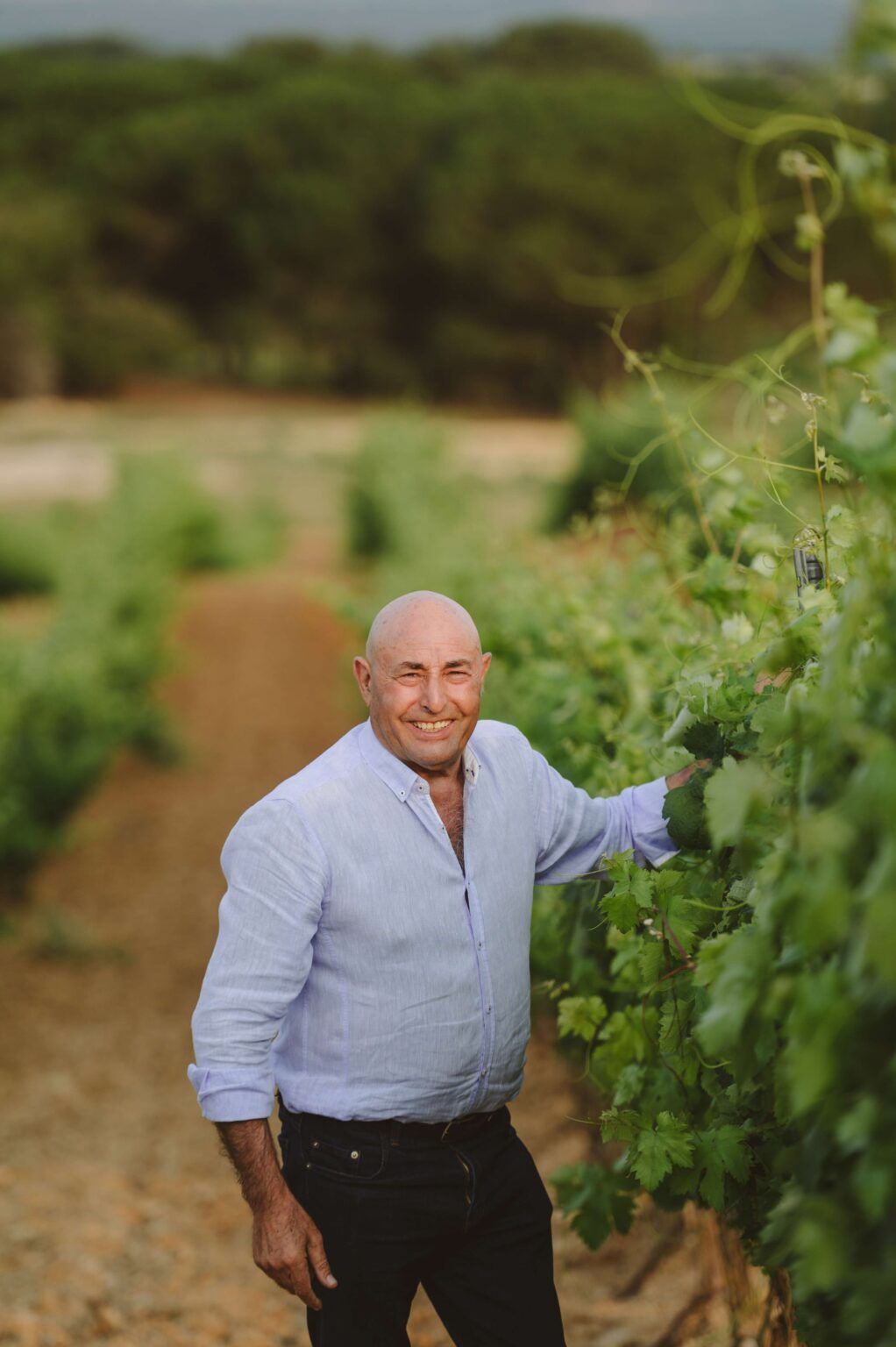 Bodegas Rodero