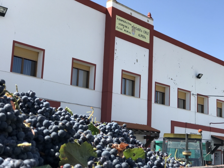 Bodegas Santa Cruz de Alpera