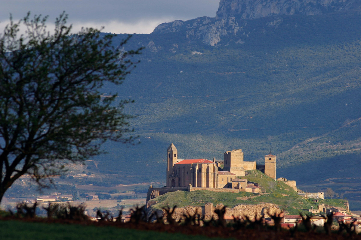 Bodegas Senorio de San Vicente