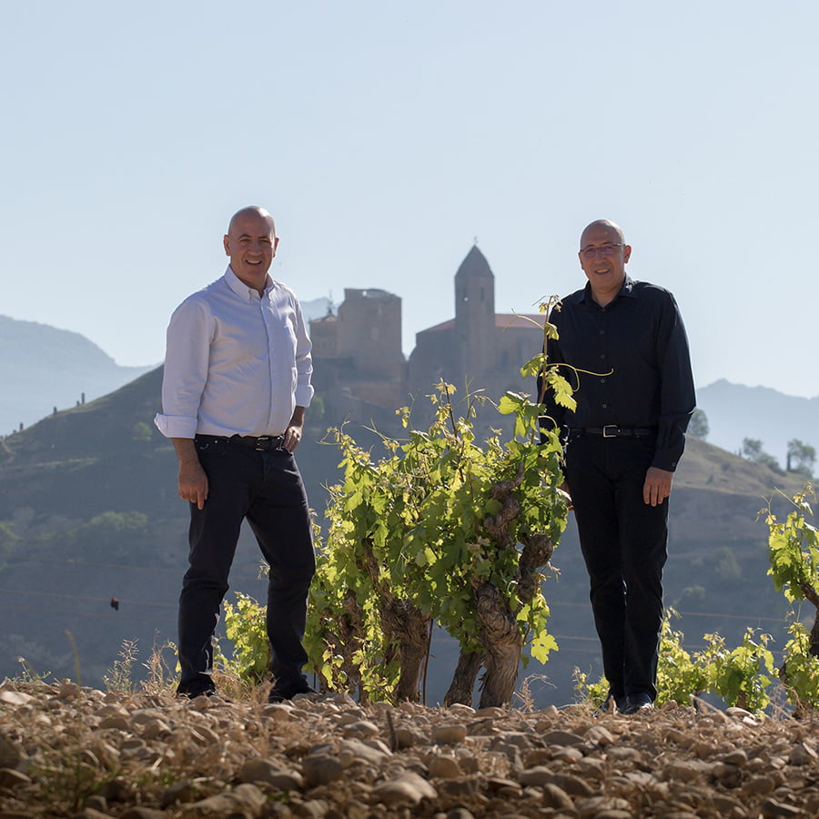 Bodegas Vinedos de Paganos
