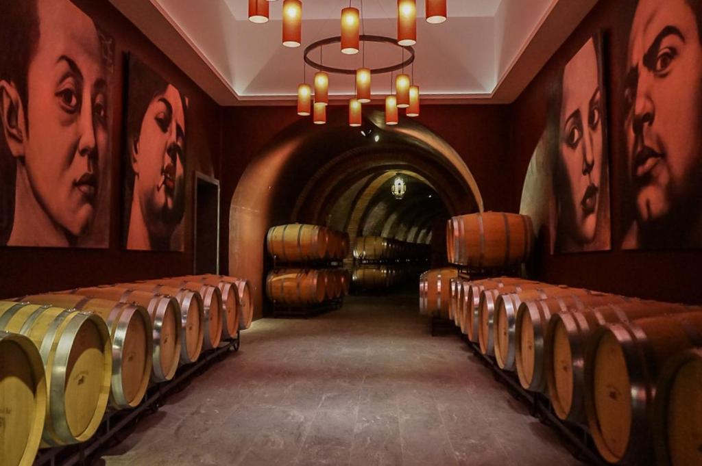 Bodegas Vinícola Real