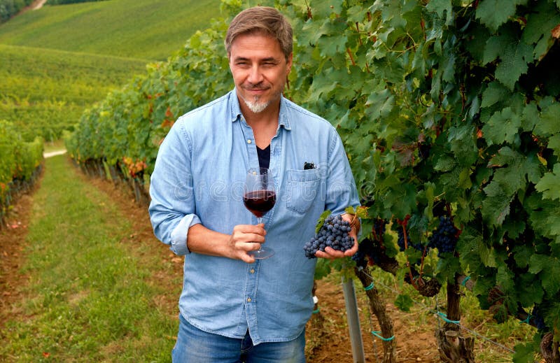 Bodegas Vinicola Real