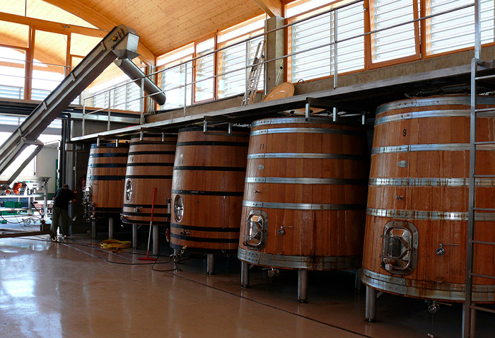 Bodegas Y Vinedos Bernabeleva