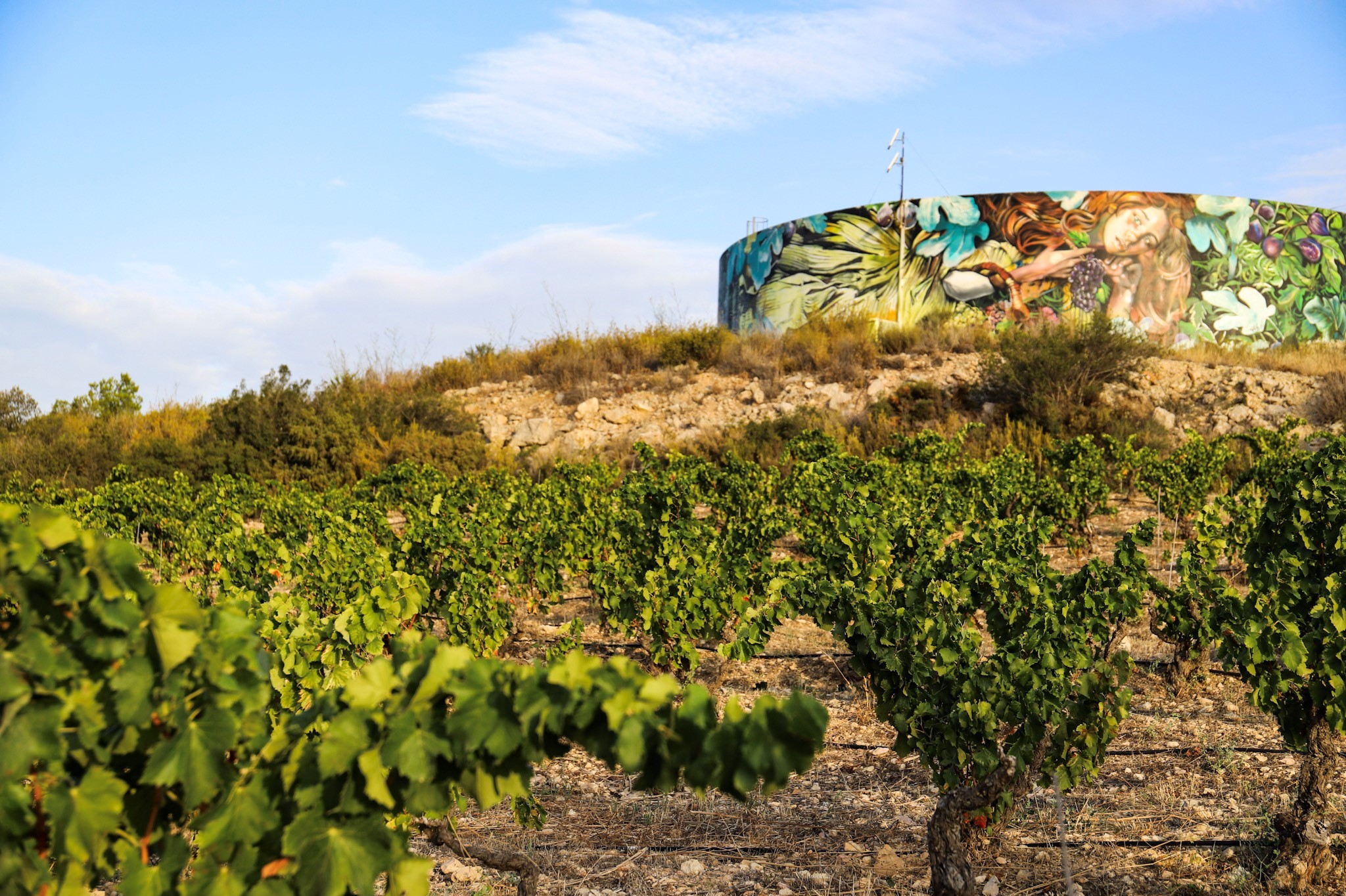 bodegas Venus La Universal