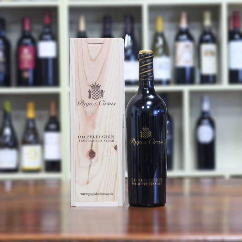 Pago de cirsus O1111